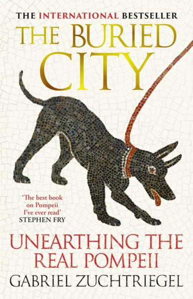 The Buried City : Unearthing the Real Pompeii