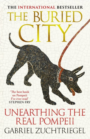 The Buried City : Unearthing the Real Pompeii