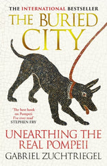 The Buried City : Unearthing the Real Pompeii