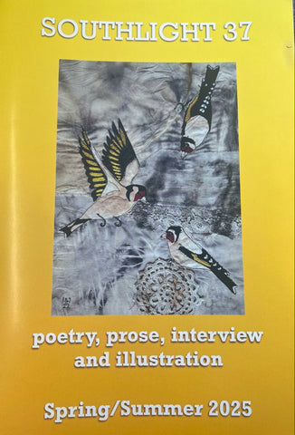 Southlight 37