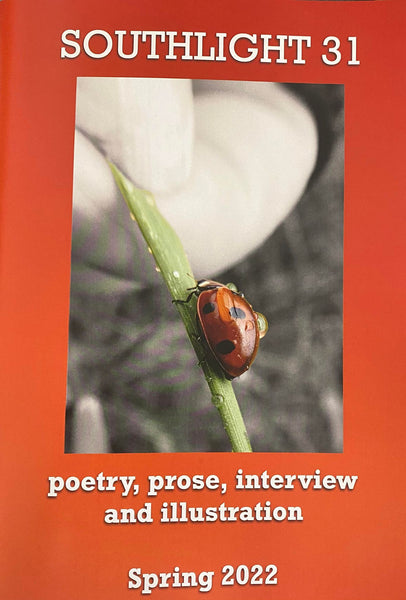 Southlight 31