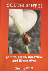 Southlight 31