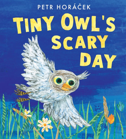 Tiny Owl's Scary Day by Petr Horacek. Book cover has an illustration of an owl flying over grass, wheat and flowers, on a blue background.