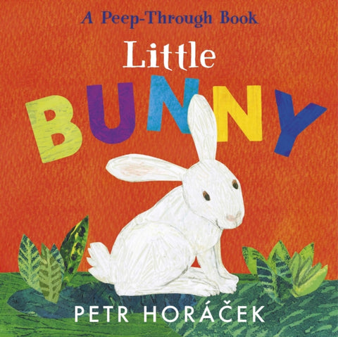 Little Bunny by Petr Horacek. Book cover has an ilustration of a white rabbit on a red background.