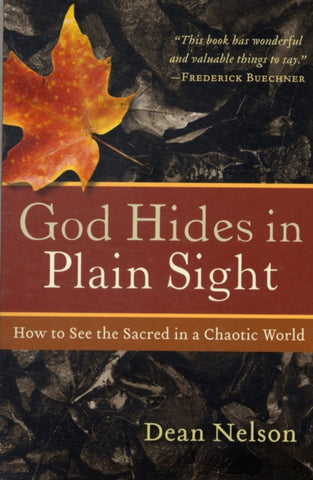 God Hides In Plain Sight by D Nelson. Book cover has a photograph of an autumnal orange leaf.