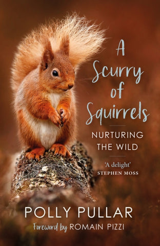 A Scurry of Squirrels : Nurturing The Wild by Polly Pullar. Book cover has a colour photograph of a Red Squirrel sitting on the branch of a tree.