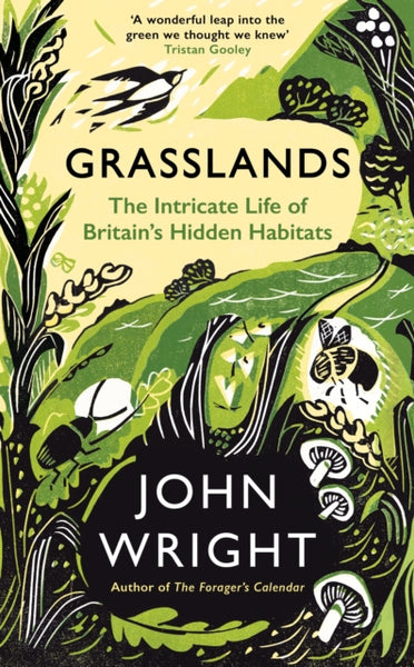 Grasslands : The Intricate Life of Britain's Hidden Habitats