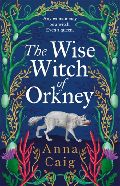 The Wise Witch of Orkney : A spell-binding debut novel about Scotland’s witch-hunting hysteria