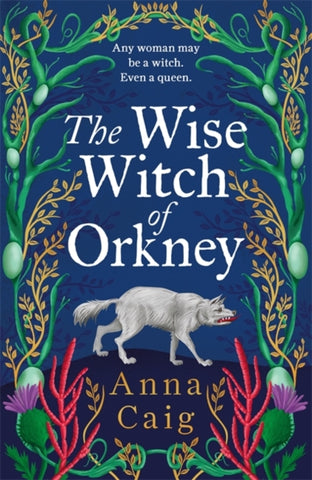 The Wise Witch of Orkney : A spell-binding debut novel about Scotland’s witch-hunting hysteria
