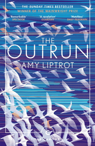 The Outrun by Amy Liptrot. Book cover has an illustration of numerous seabirds flying over a blue and purple lined landscape.