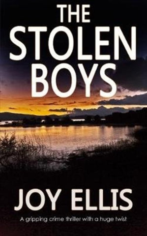 The Stolen Boys by Joy Ellis. Book cover has a photograph of a lake at sunset.