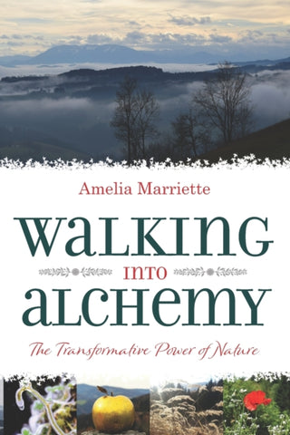 Walking into Alchemy by Amelia Marriette. Book cover has photographs of a rural landscape, a close up of a plant, an apple, grass gone to seed and a poppy.