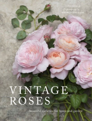 Vintage Roses : Beautiful varieties for home and garden by Jane Eastoe. Book cover has a colour photograph of pink cut roses lying on a stone background.